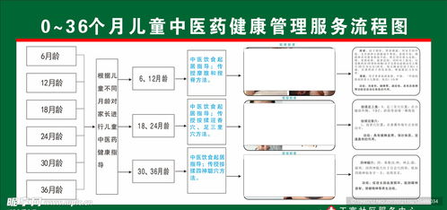 兒童中醫(yī)藥健康管理服務(wù)流程圖 信息系統(tǒng)集成與商業(yè)插畫設(shè)計(jì)